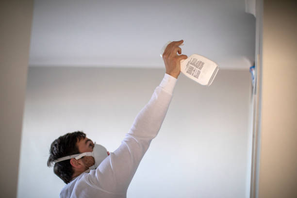 Trusted Saluda, SC Mold Removal Experts
