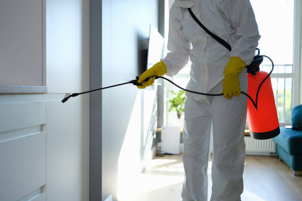Best Crawl Space Mold Removal  in Saluda, SC
