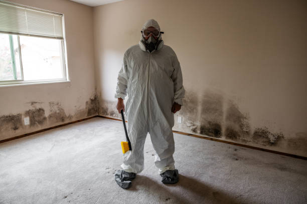Best Office Mold Removal Services  in Saluda, SC